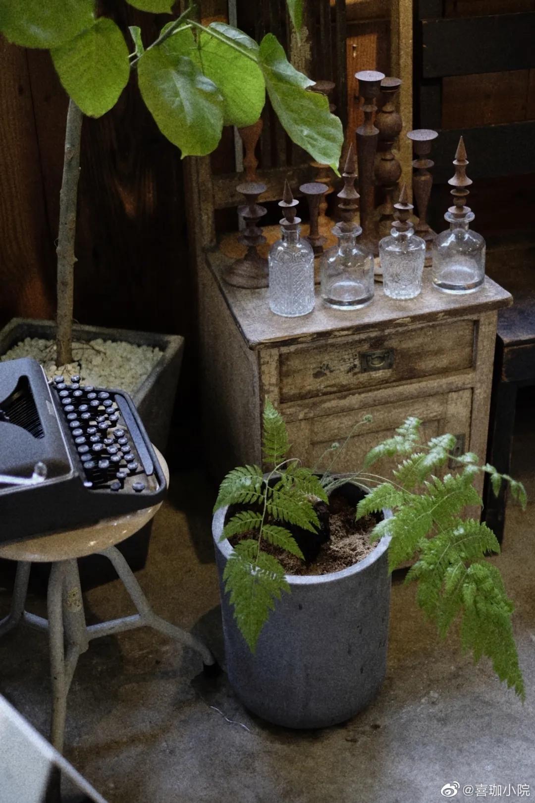 木质家具防白蚁，有效预防与治理方法