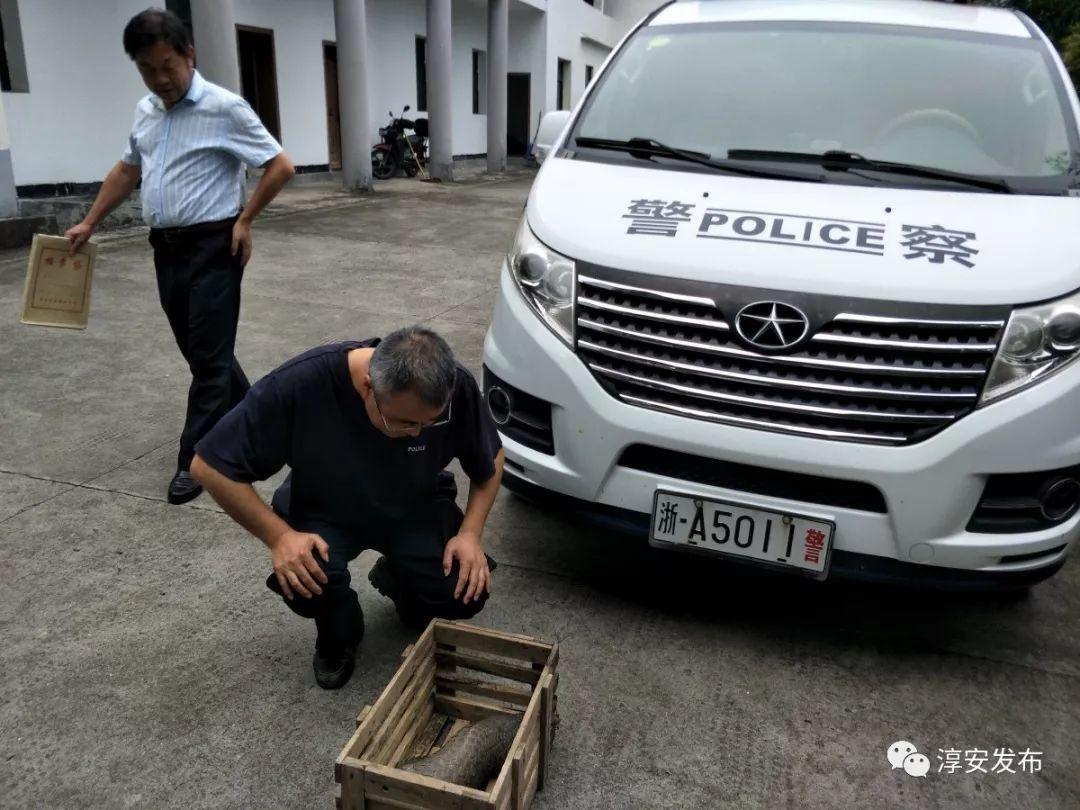 专业白蚁防治团队,守护家园的隐形卫士 专业白蚁防治团队,守护家园的隐形卫士