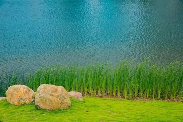 室内空气治理服务，打造健康呼吸环境的专业解决方案