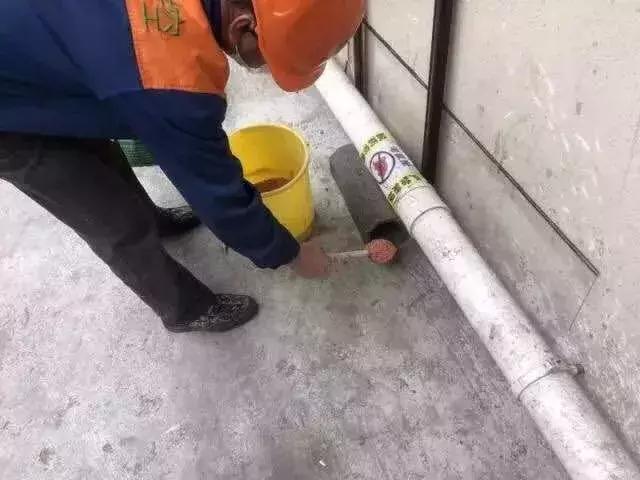 专业四害消杀团队，守护健康环境的坚实防线