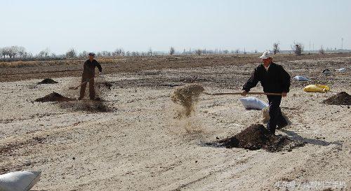 土壤白蚁处理，有效防治方法与关键技术