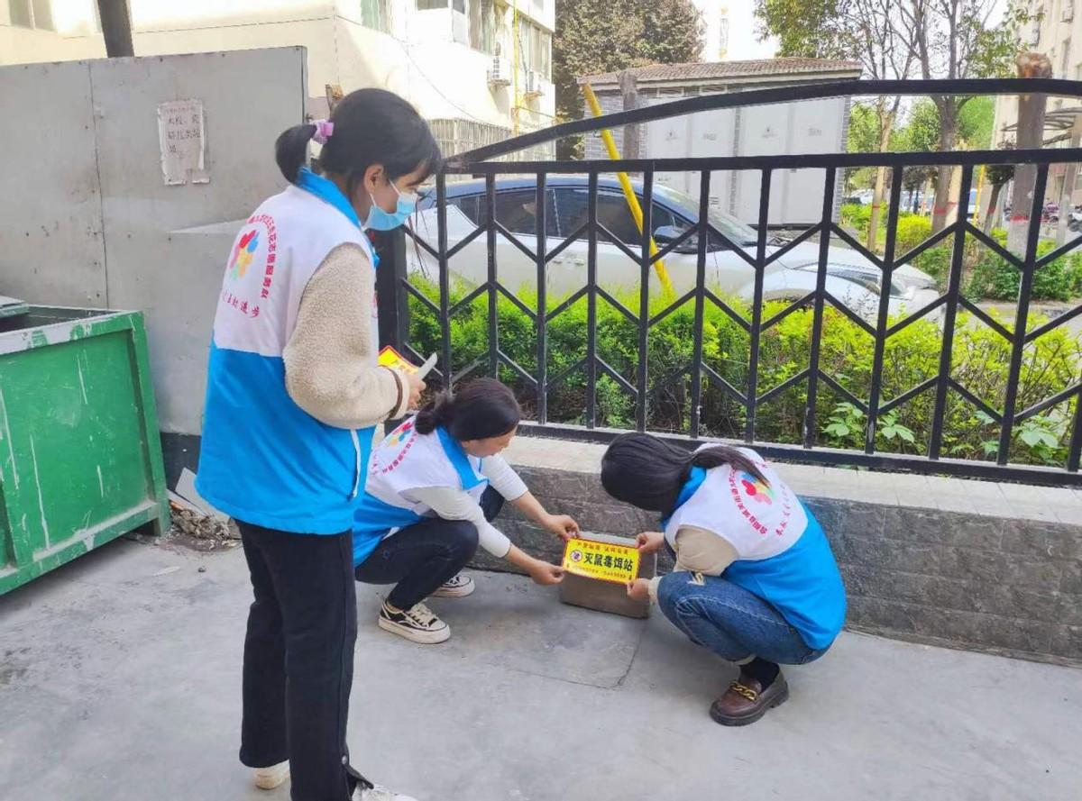 专业家庭灭鼠服务，守护健康家园的必备选择