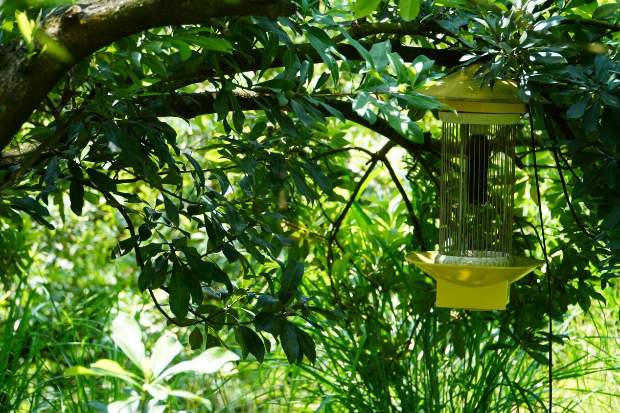 高效消杀方案,科学防控,守护健康环境