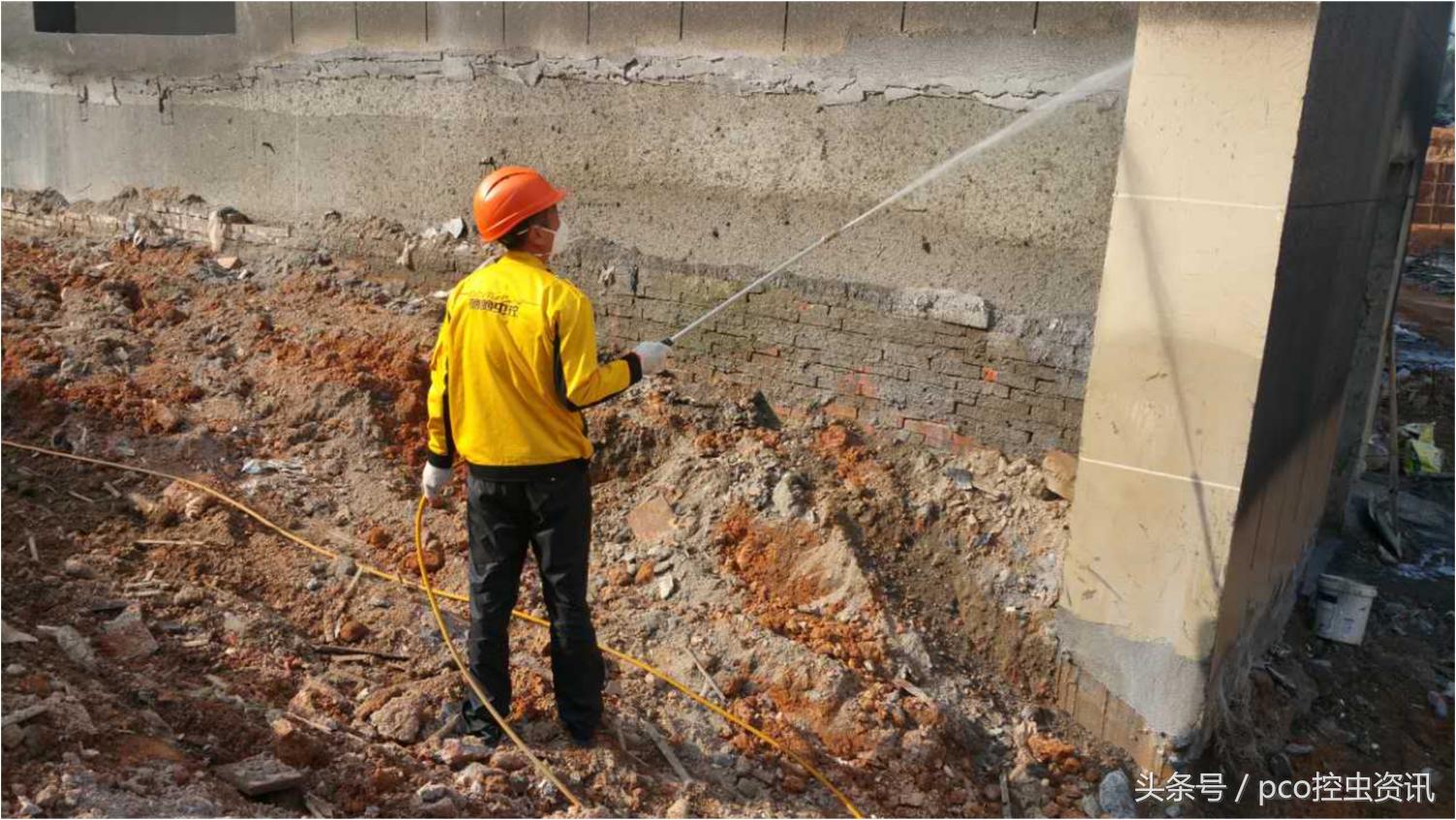 白蚁检测技术，现状、挑战与未来展望