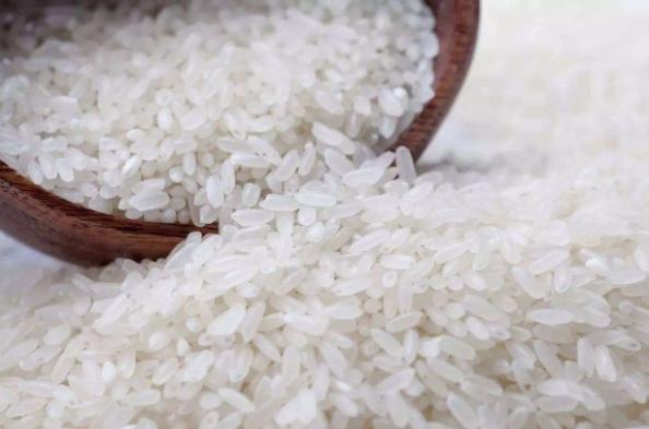 高效消杀方案,科学防控,守护健康环境