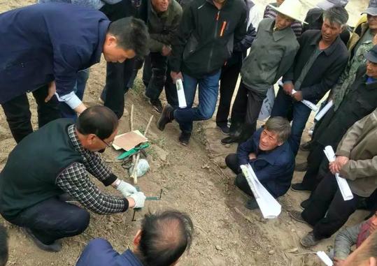 高效消杀方案,科学防控,守护健康环境