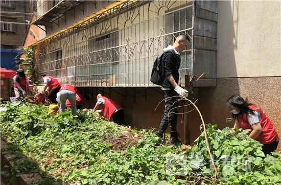 四害消杀设备，现代城市卫生管理的重要工具